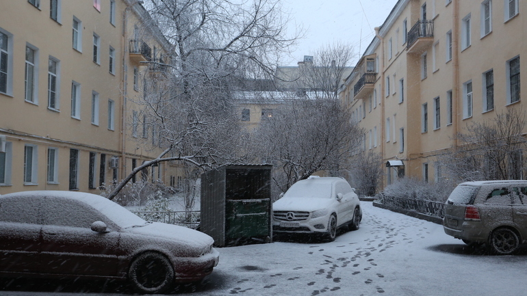 На улицы Петербурга лег первый снег