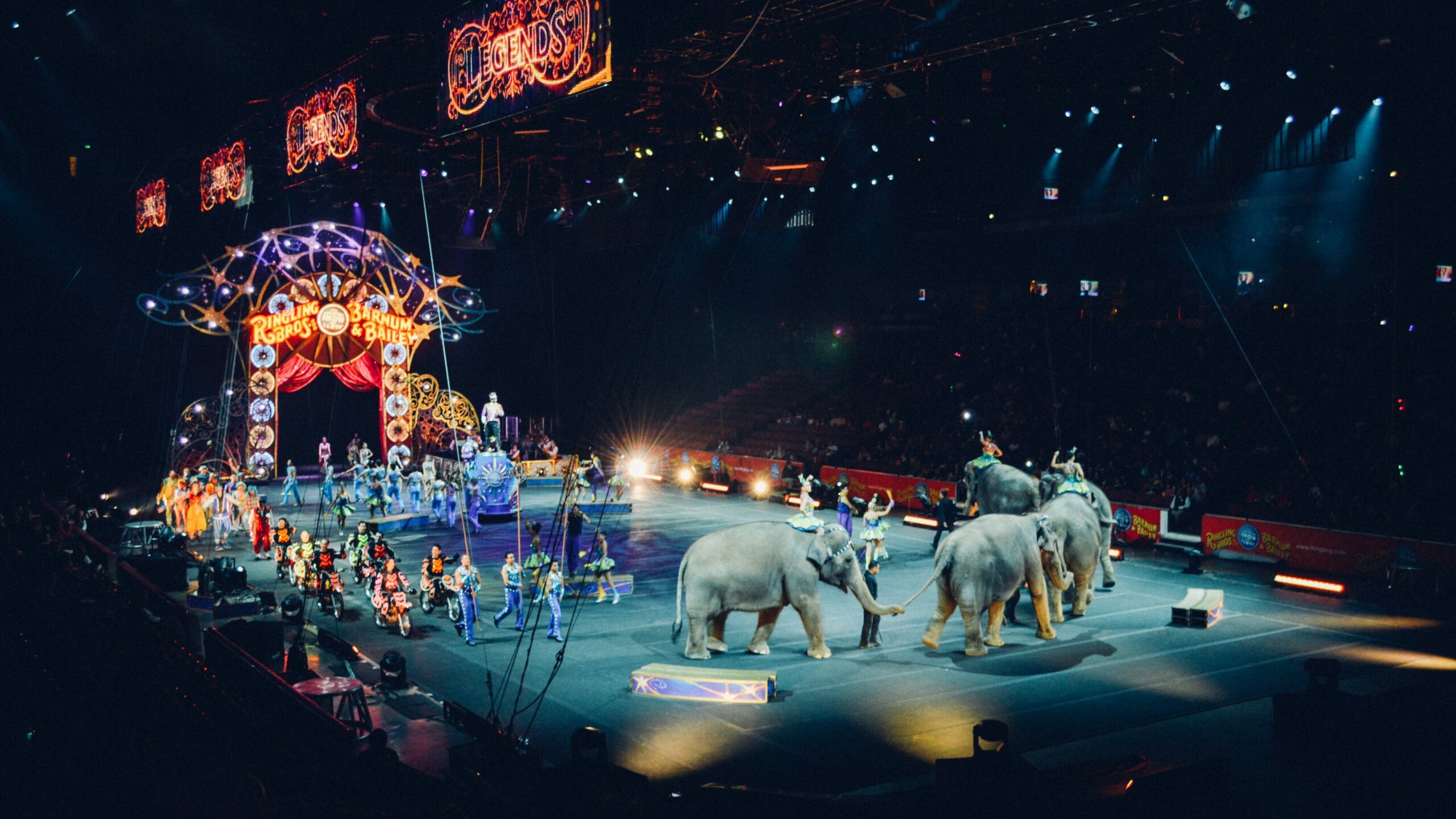 Зрители были в ужасе: страшное произошло в новосибирском цирке