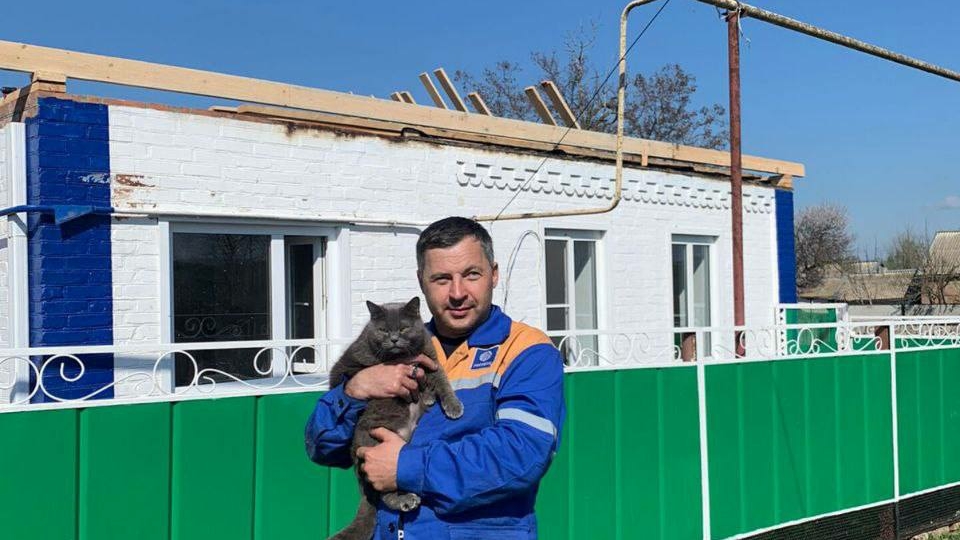 Кошка спасла семью из пожара в Ростовской области