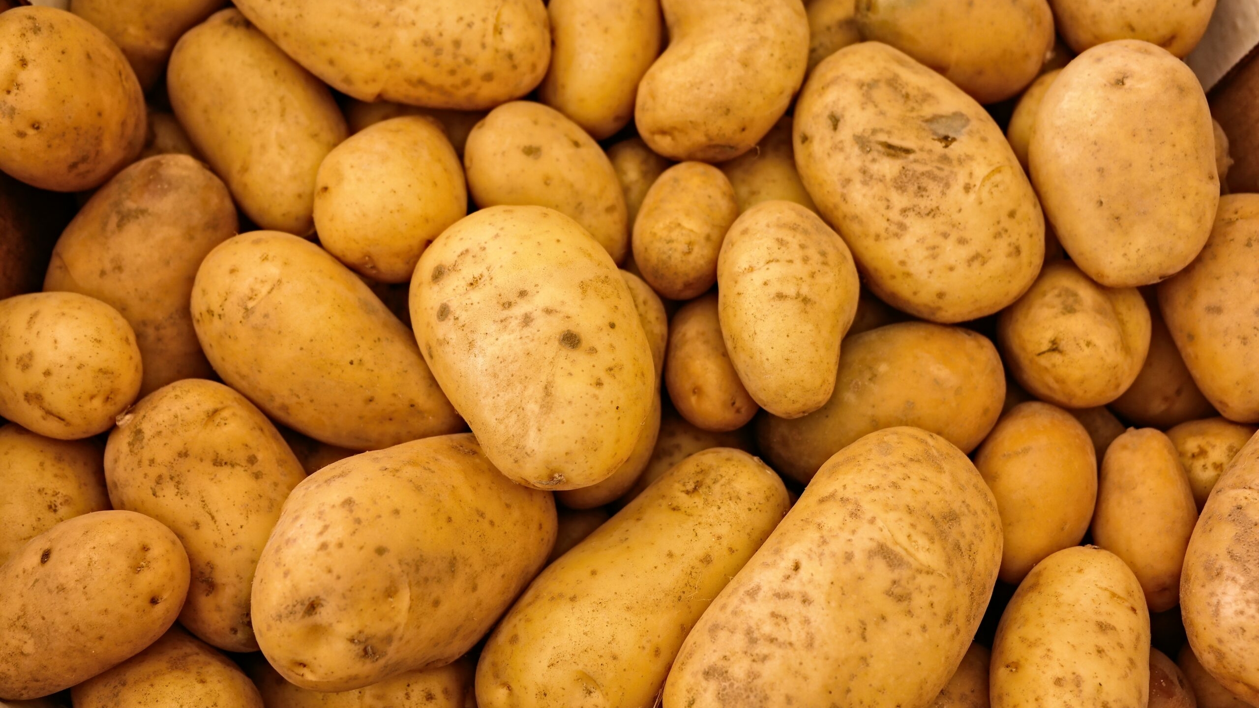 Исследователи дали однозначный ответ о полезности картошки и других продуктов