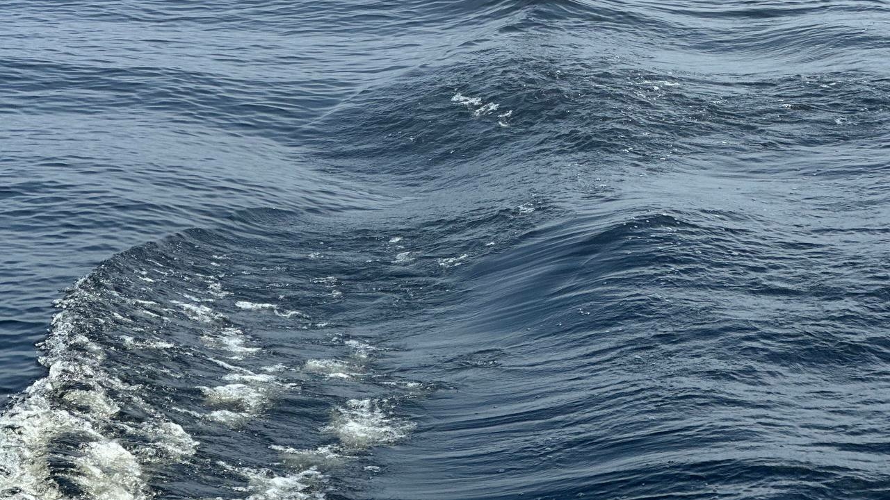 Ротавирус и другие угрозы: стоит ли ехать на Черное море этим летом?